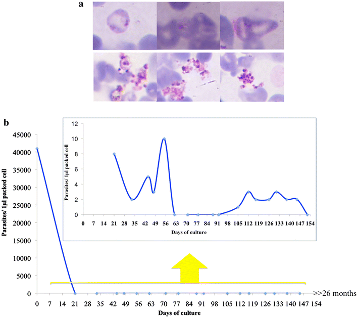 Fig. 7