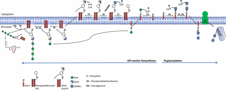 Fig. 2