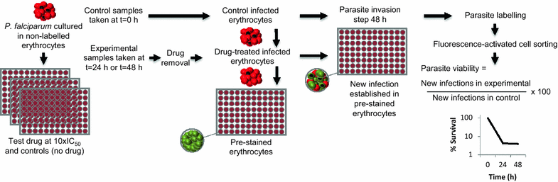 Fig. 1