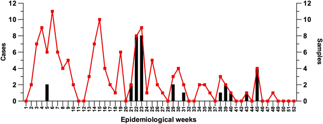 Fig. 2