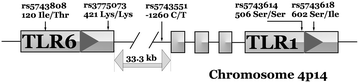 Fig. 1