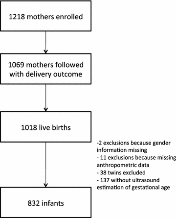 Fig. 1