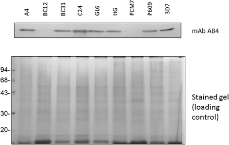 Fig. 3