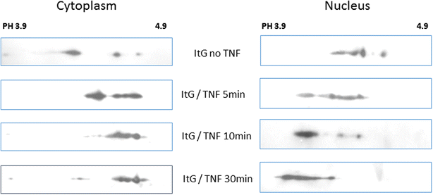 Fig. 6