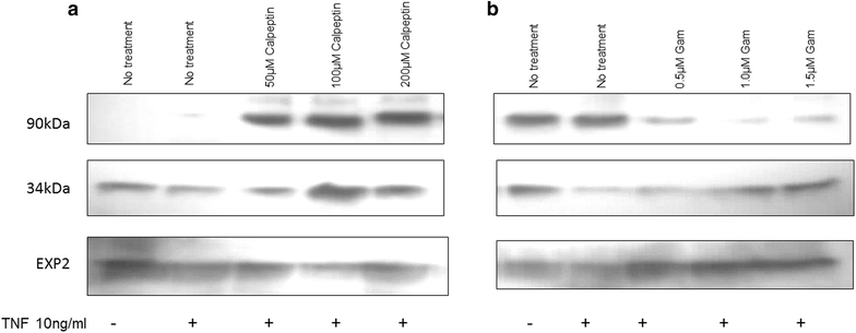 Fig. 7