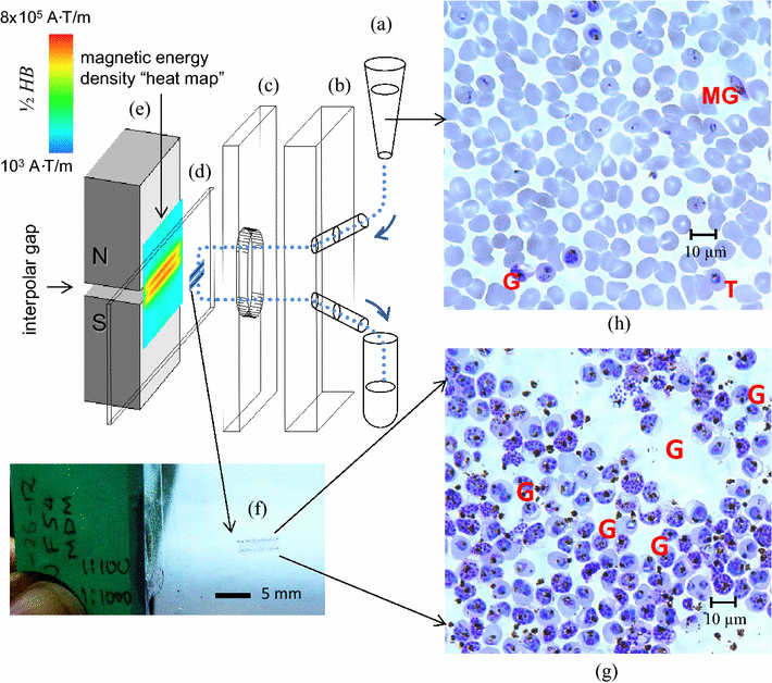 Fig. 1