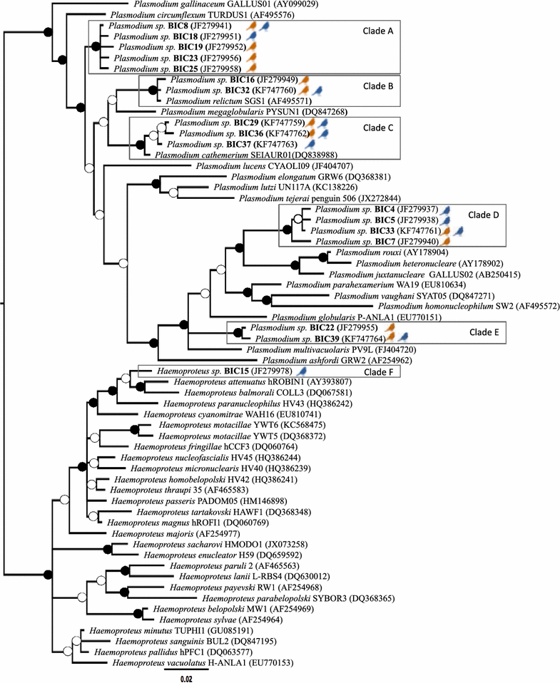 Fig. 1