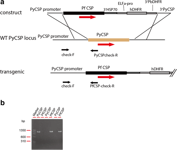 Fig. 1