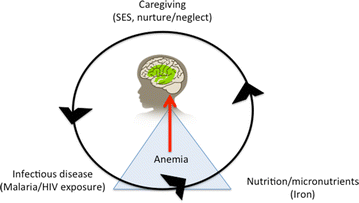 Fig. 1