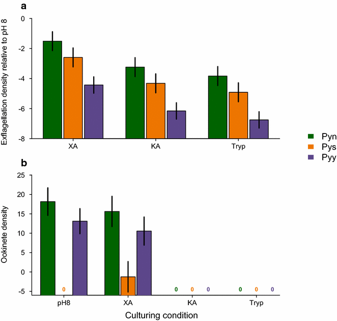 Fig. 3