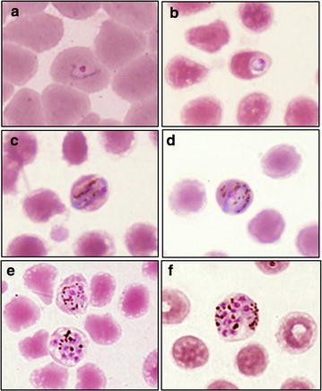 Fig. 2