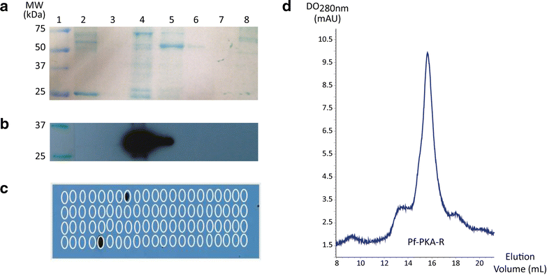 Fig. 5