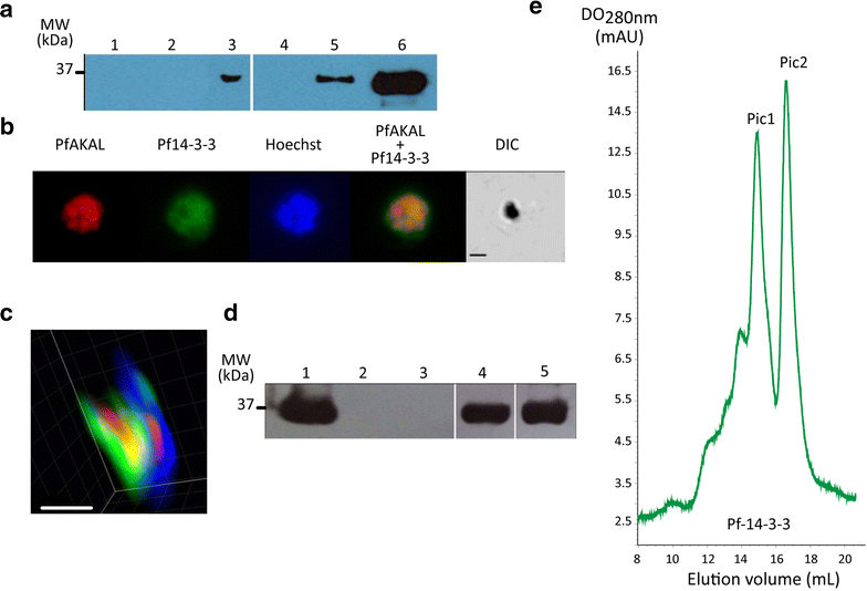 Fig. 6