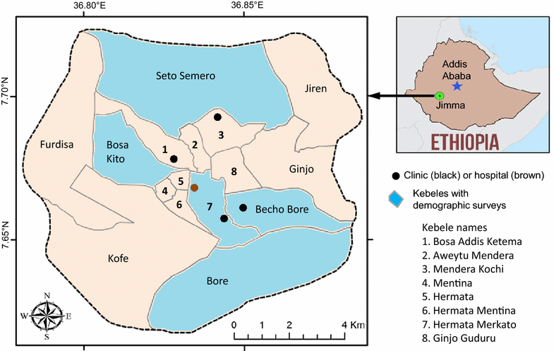 Fig. 1