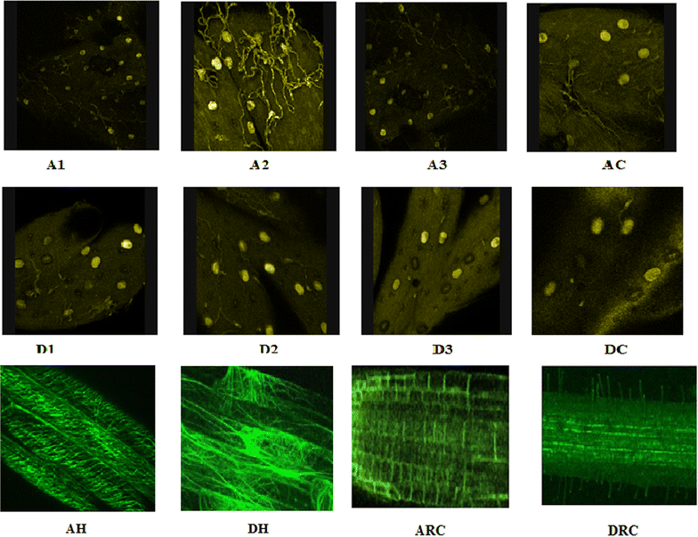 Fig. 7