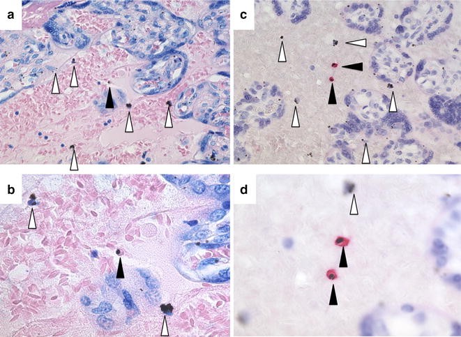 Fig. 2