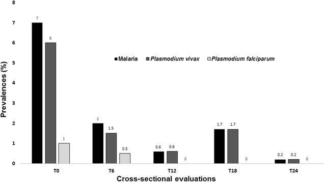 Fig. 3