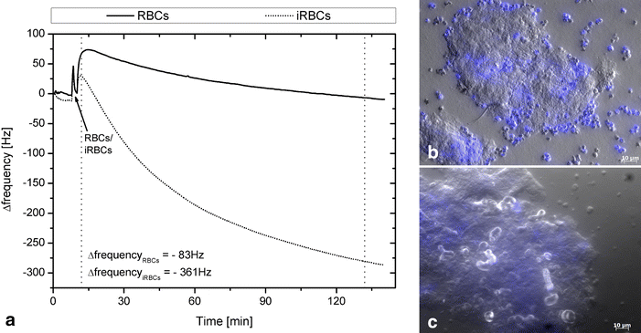 Fig. 4