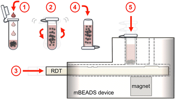 Fig. 1