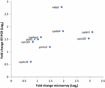 Fig. 3