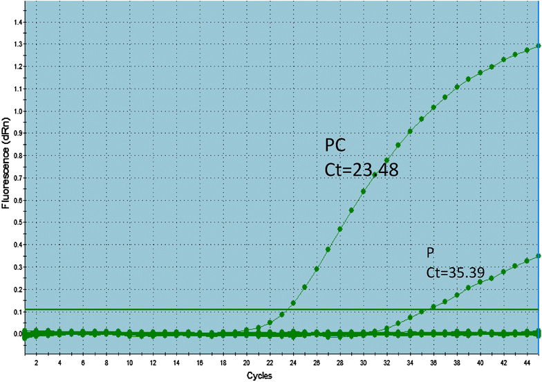 Fig. 2