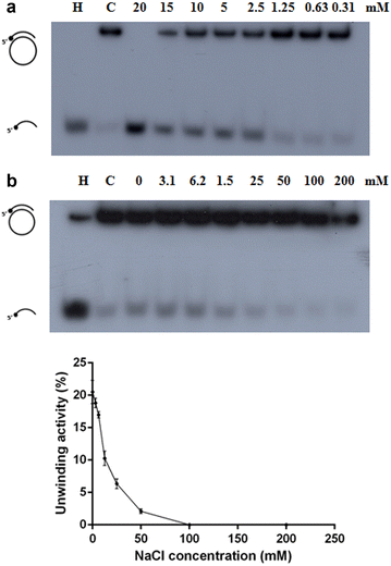 Fig. 4