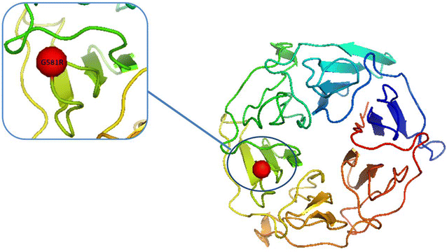 Fig. 2