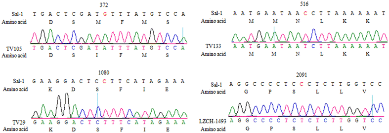 Fig. 1