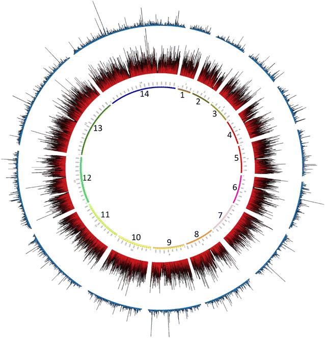 Fig. 2