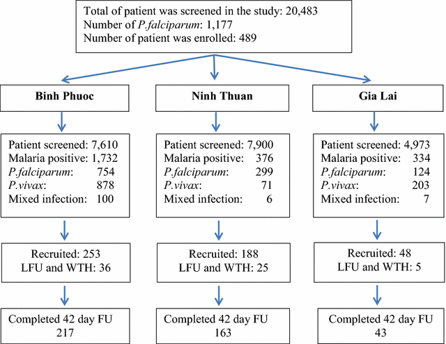 Fig. 2