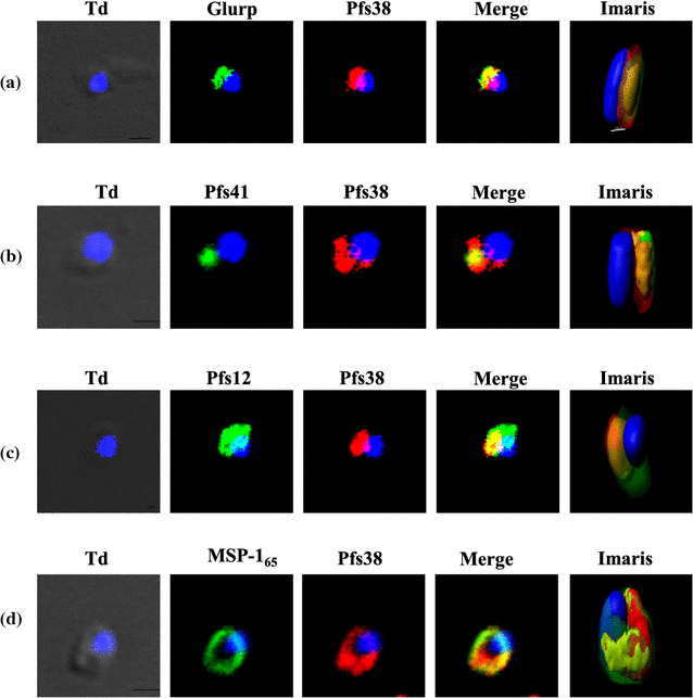 Fig. 3