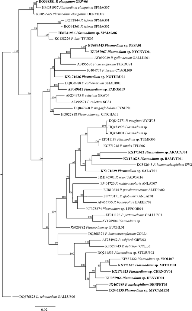 Fig. 4