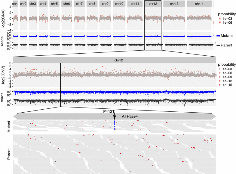 Fig. 3