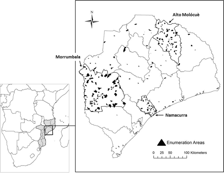 Fig. 1