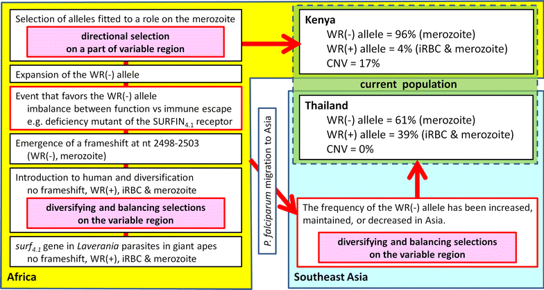 Fig. 6