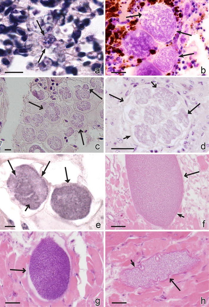 Fig. 3