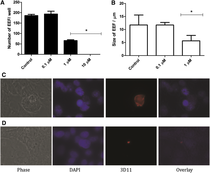 Fig. 6