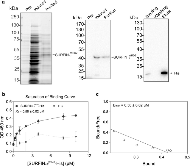 Fig. 2