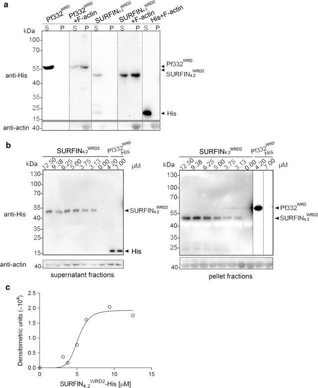 Fig. 4