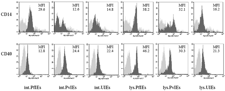 Fig. 5