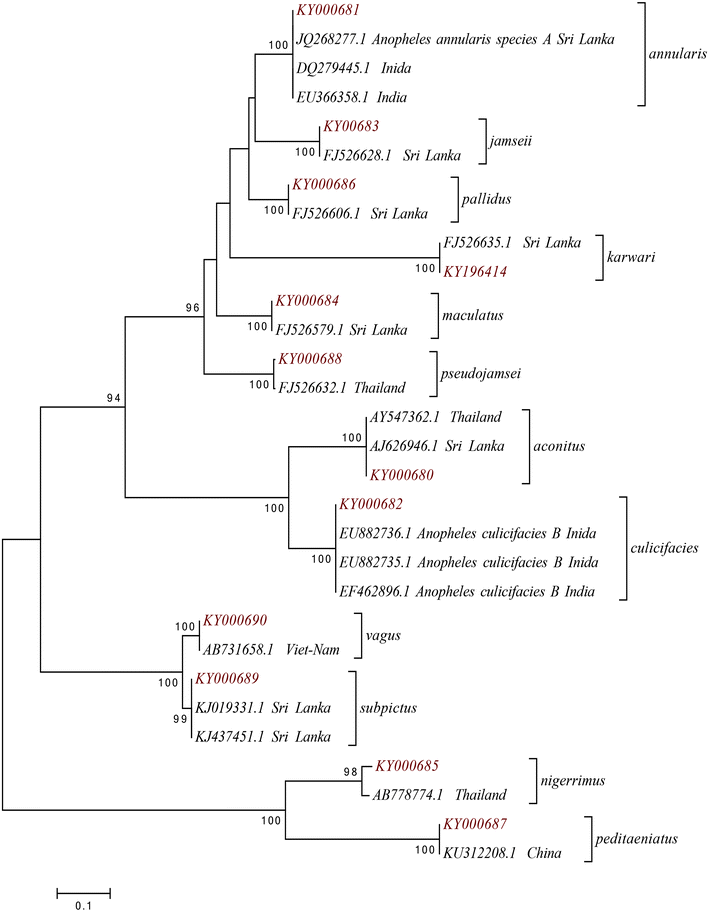 Fig. 2