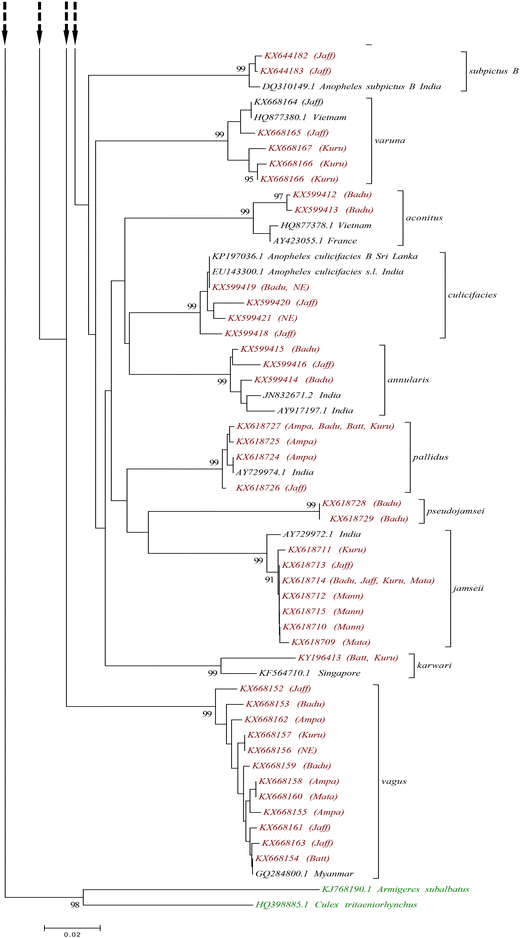 Fig. 4