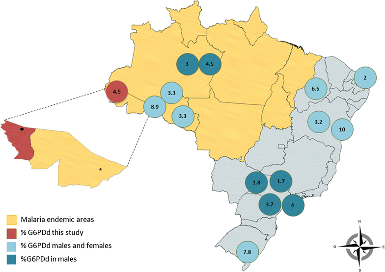 Fig. 1