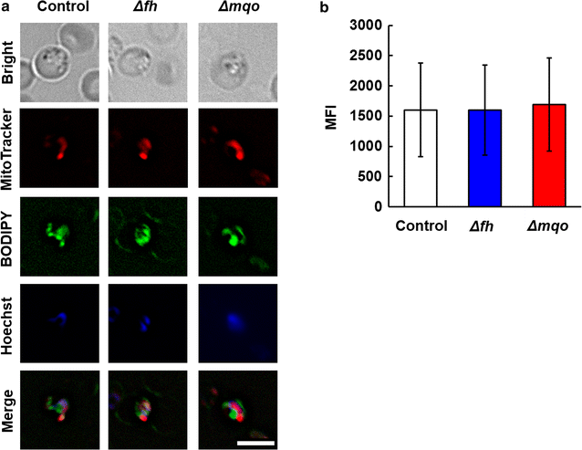 Fig. 3