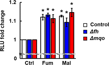 Fig. 4