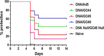 Fig. 4