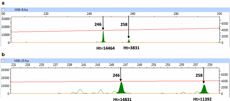 Fig. 3