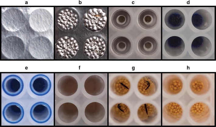 Fig. 2