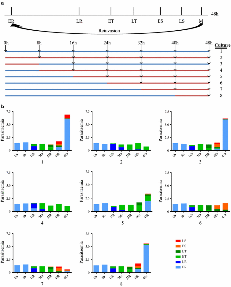 Fig. 2