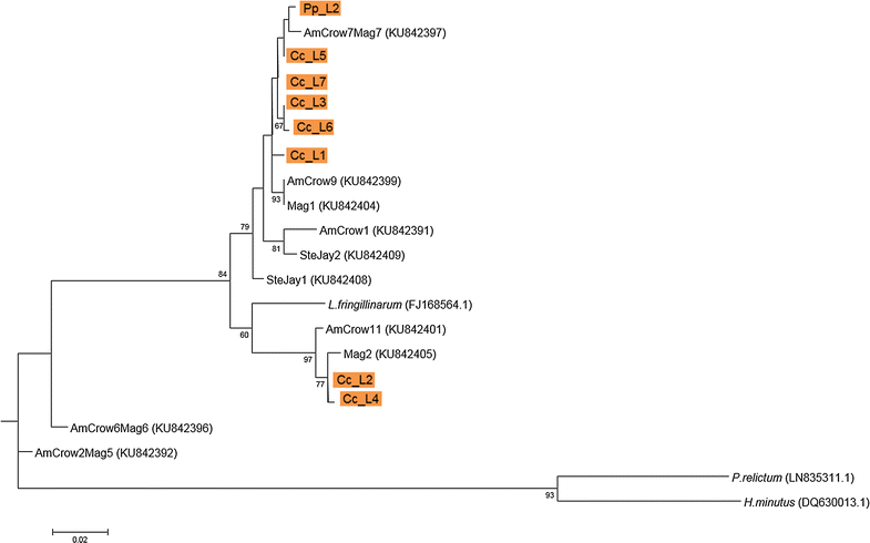 Fig. 6